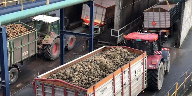 Auf dem Areal der Fabrik in Aarberg gab es eine Entgleisung. Der Rübenverlad musste auf zwei Bahnhöfe verschoben werden. (Bild Katrin Erfurt)