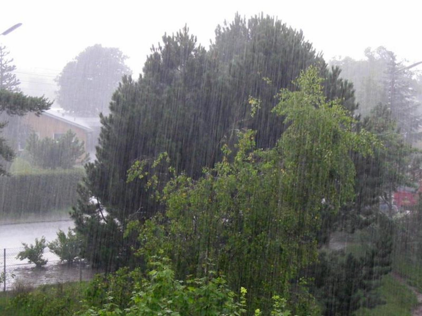 Über die letzten drei Tage fielen an einzelnen Orten der Schweiz viel Regen. (Bild Wikipedia)