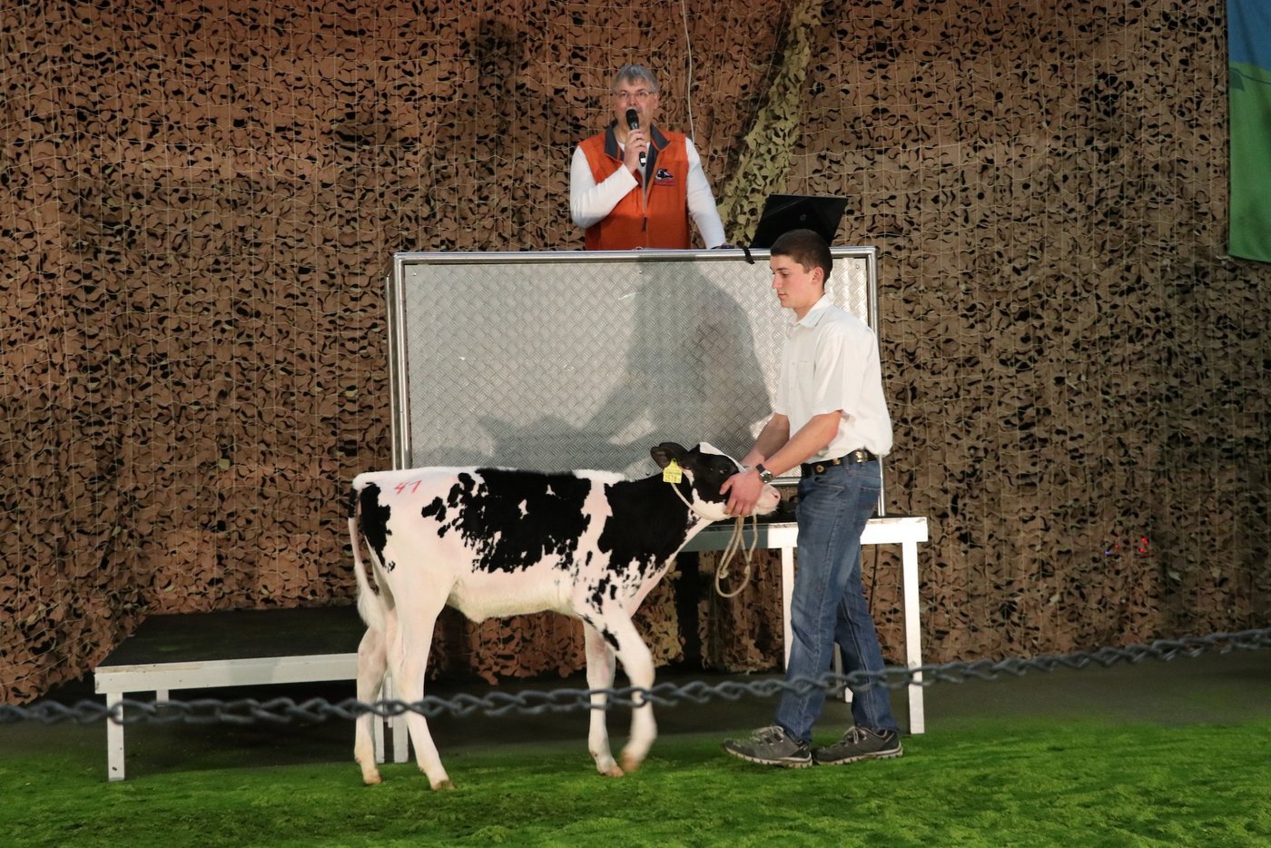 Laulucy von Stefan Käser mit Potenzial in Exterieur, Milch und Gehalt war dem neuen Besitzer 4900 Franken wert. (Bilder Ruth Aerni)