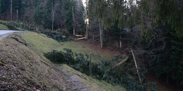 Im Luzernischen Romoos und anderen Teilen der Schweiz kam es im Januar 2018 zu Sturmschäden. Damals wütete der Wintersturm Burglind. (Bild BauZ)