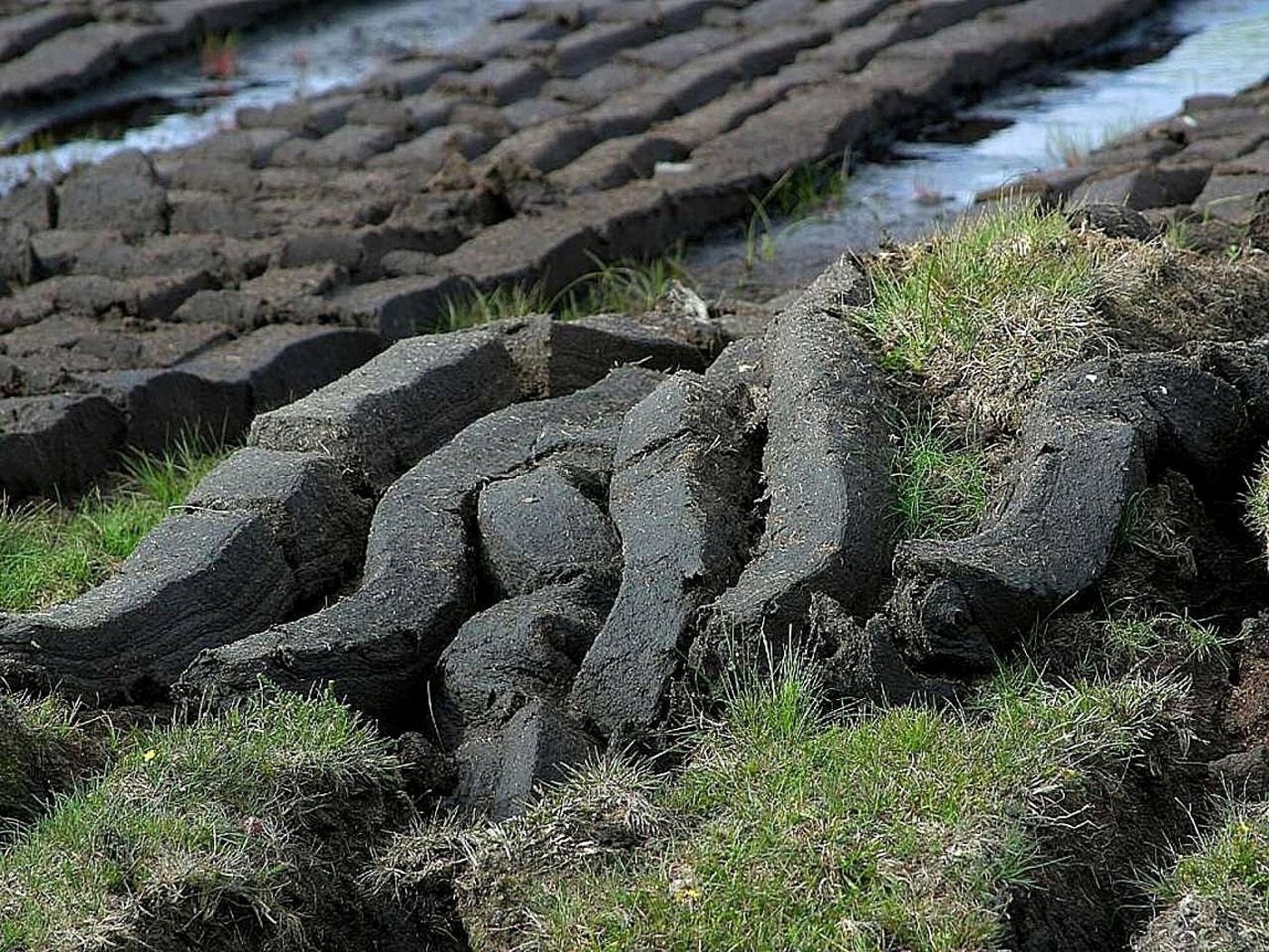 Bei Torf handelt es sich um trockengelegte Moorerde. Dessen Abbau schadet dem Klima und der Artenvielfalt. In der Schweiz darf seit 1987 kein Torf mehr abgebaut werden. (Bild Pixabay/PublicDomainImages)