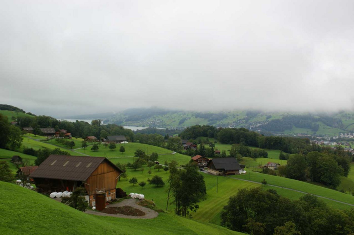 (Bild lid/ji)