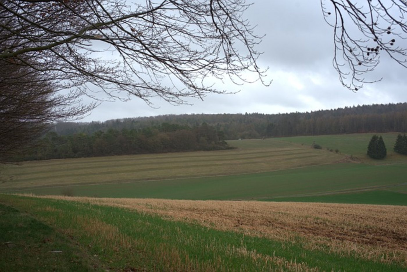 "Der Kulturlandverlust macht uns allen Sorgen", sagte Umweltministerin Simonetta Sommaruga. (Bild Pixabay)