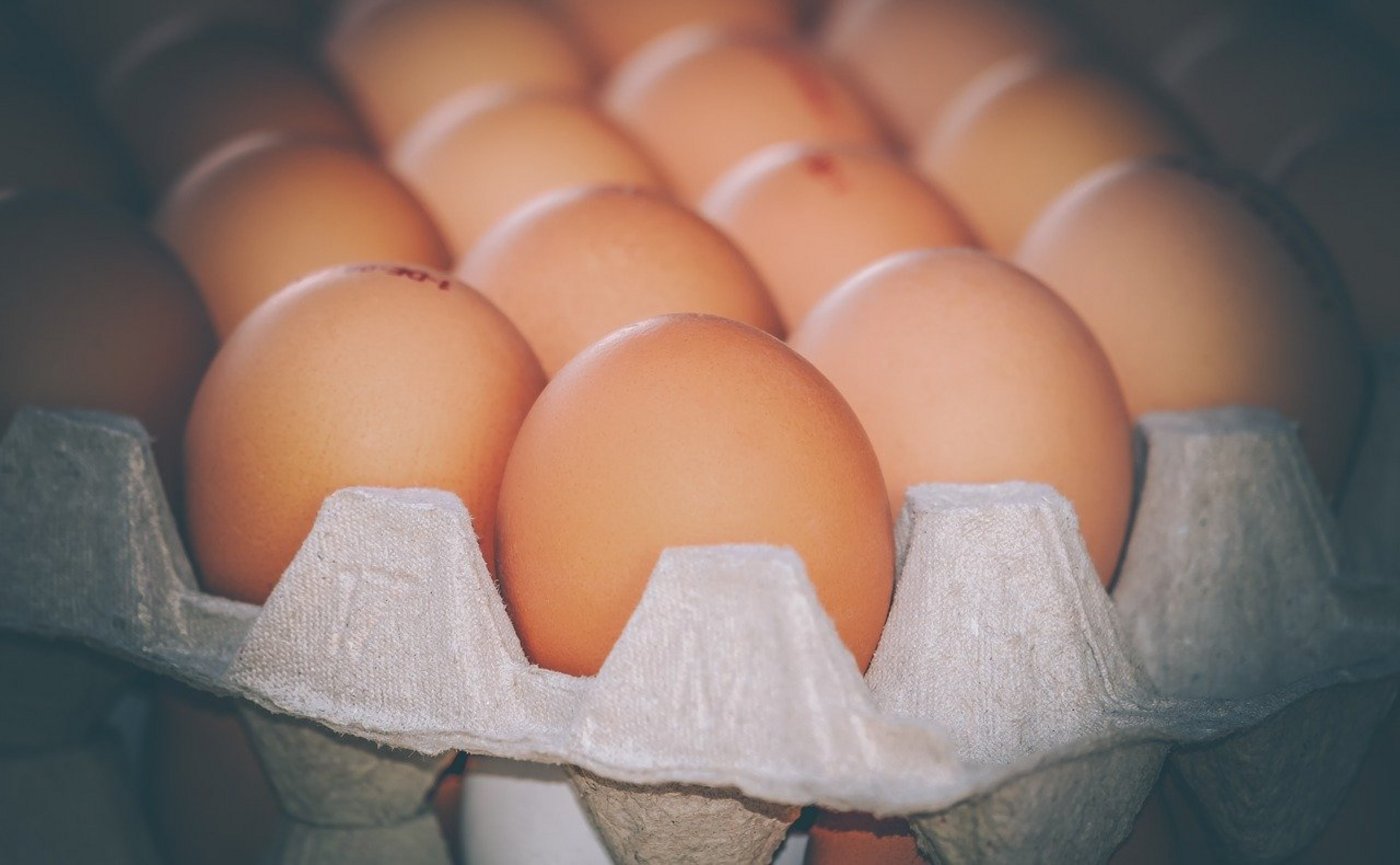 Die aktuell grosse Nachfrage nach Eiern und Milch soll mit mehr Teilzollkontingenten befriedigt werden – man könne die Schweizer Produktion schliesslich nicht so schnell umbauen. (Bild Pixabay)
