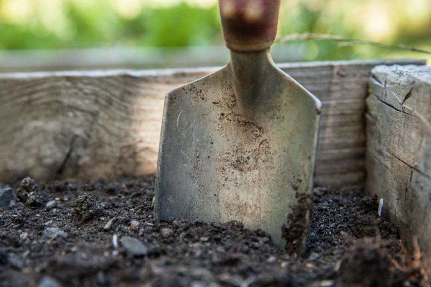 Schweizer Hobbygärtnerinnen und Hobbygärtner greifen kaum mehr auf Gartenerde mit Torf zurück – der Marktanteil von torffreien Sackerden betrug 2020 rund 90 Prozent. (Pixabay)