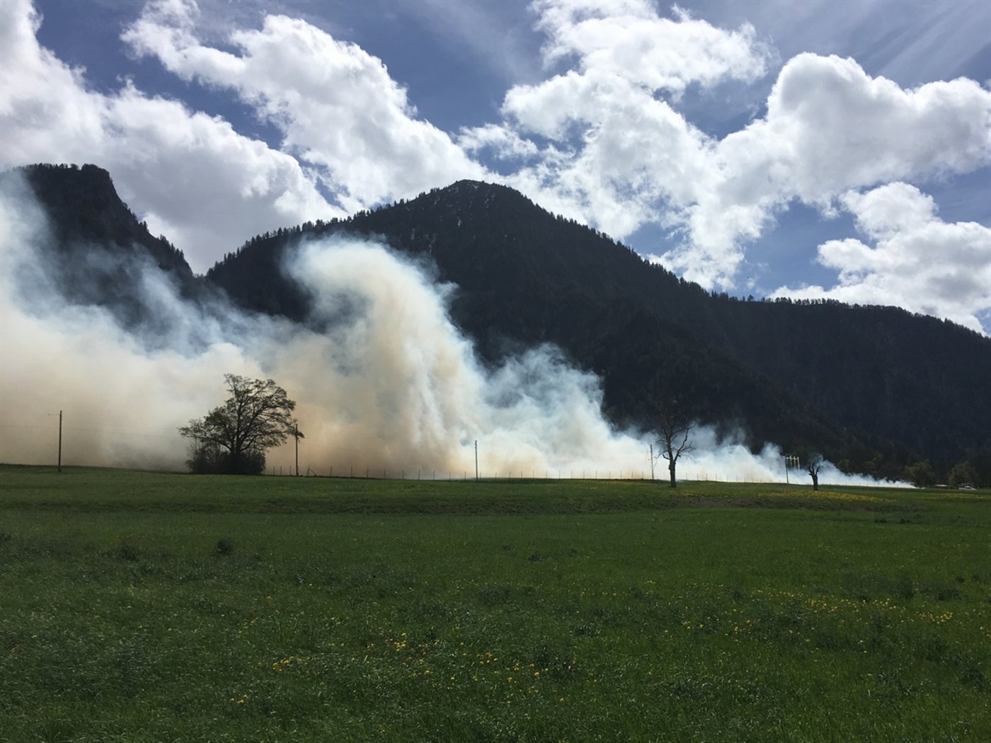 Insgesamt wurde eine Fläche von zirka einer Hektare, was ungefähr einem Fussballfeld entspricht, praktisch zerstört. 
