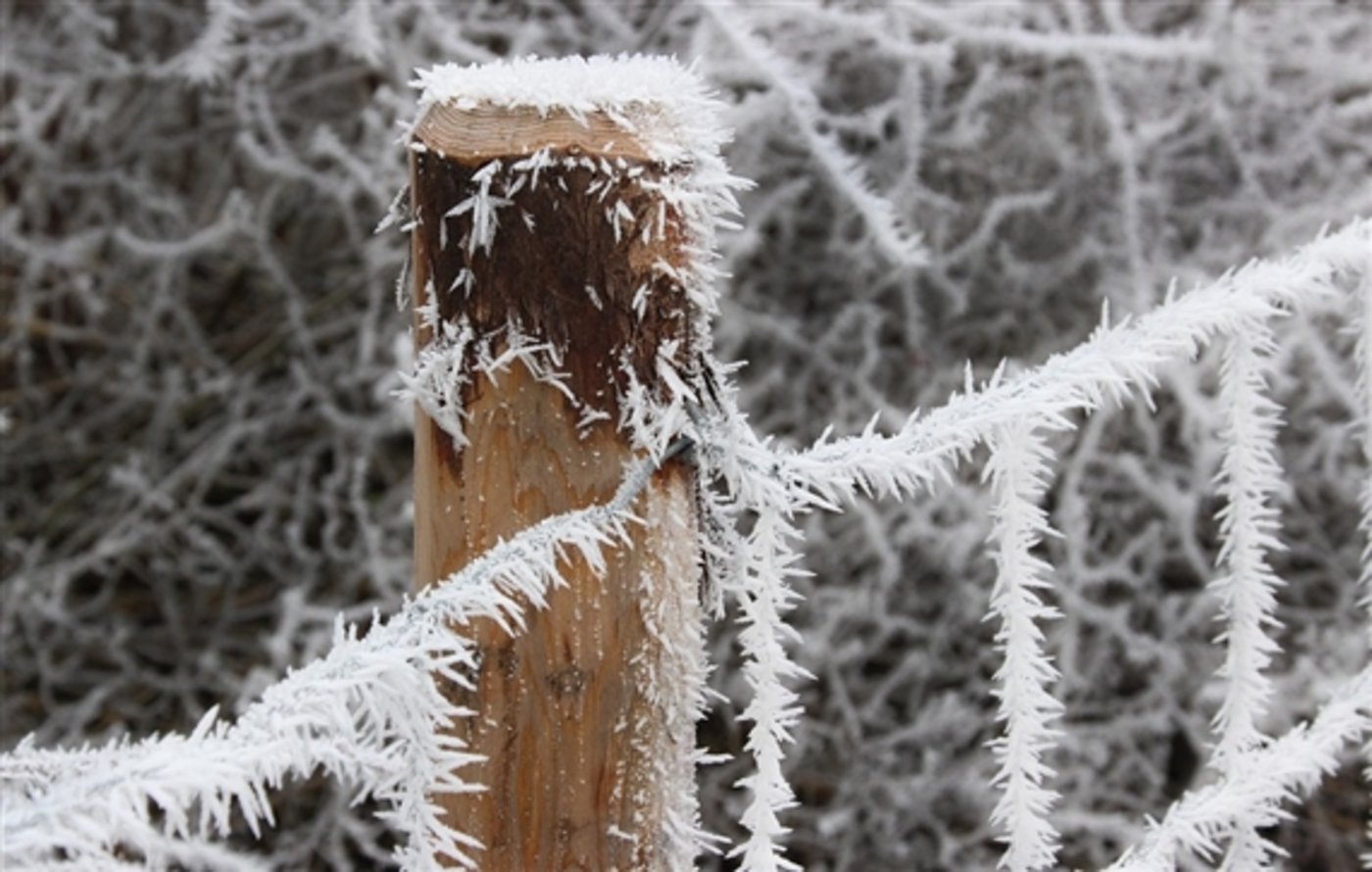 Der Winter ist zurück in der Schweiz und bringt bittere Kälte mit sich. (Symbolbild Pixabay)