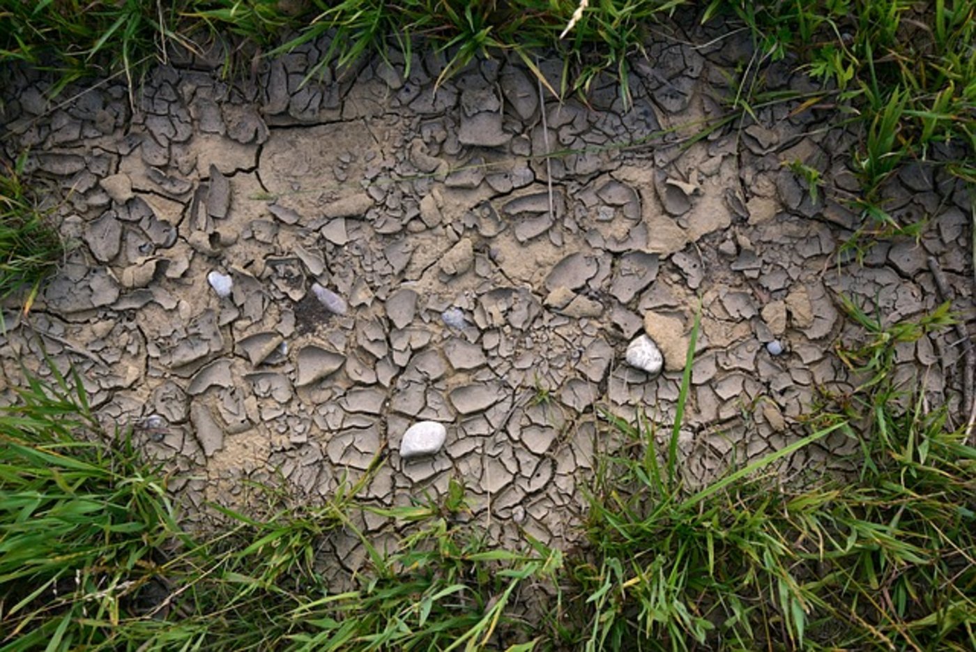 Vertreter aus rund 200 Staaten arbeiten an der Klimakonferenz in Polen konkrete Massnahmen zur Umsetzung des Pariser Klimavertrags aus. (Bild pixabay)