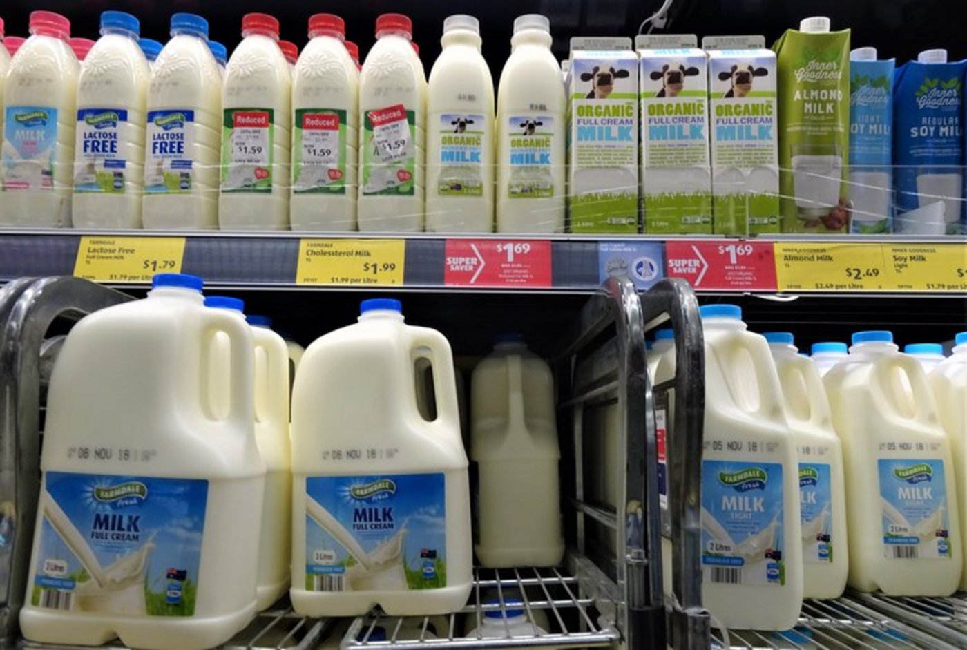 Molkereiprodukte sind bei der Sozialhilfe in Australien geschätzt im Kampf gegen den Hunger. (Bild lid/mr)