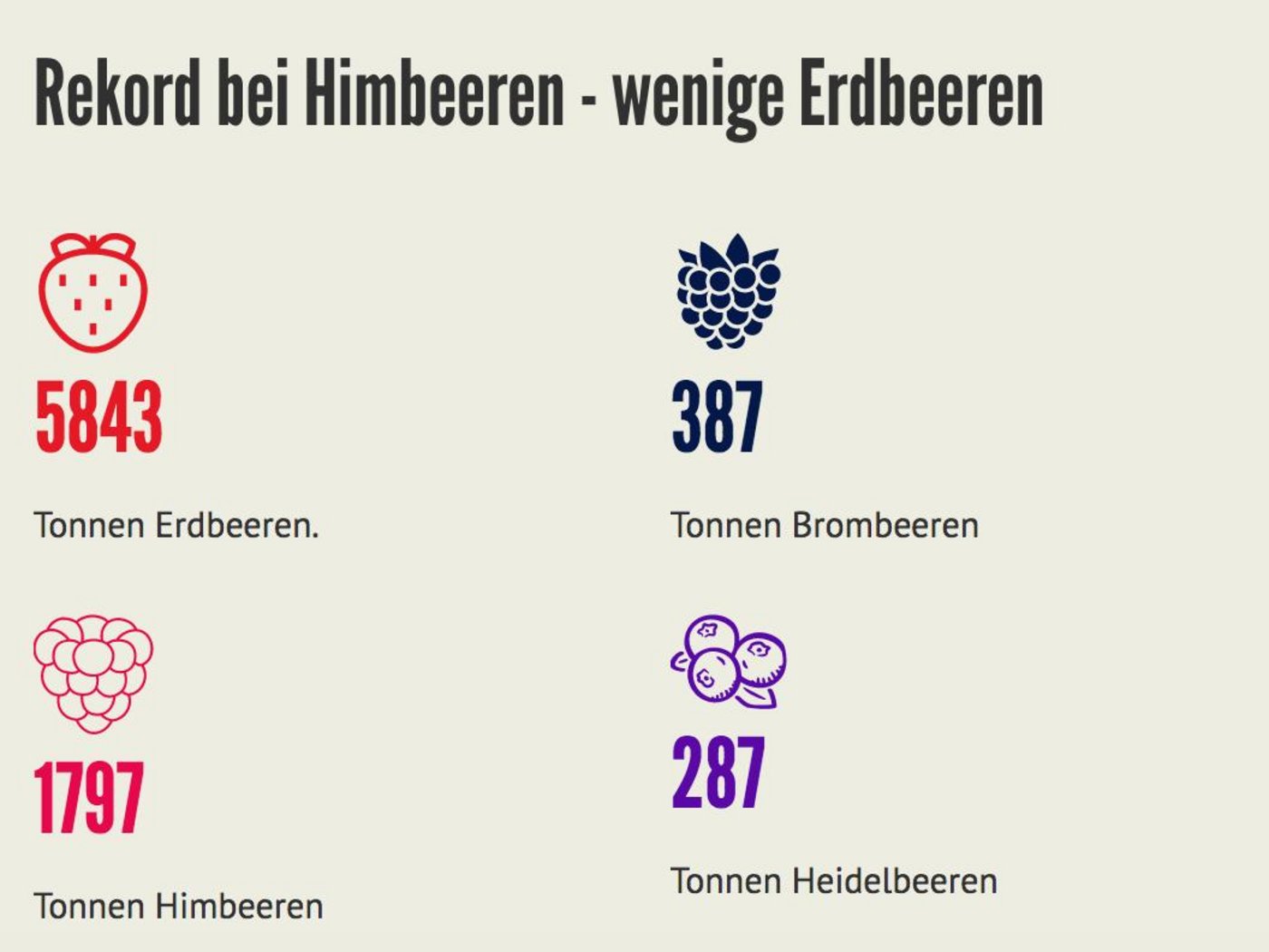 Die Erdbeeren reiften dieses Jahr früh, wurden jedoch teils kalt erwischt. (Bild ji)
