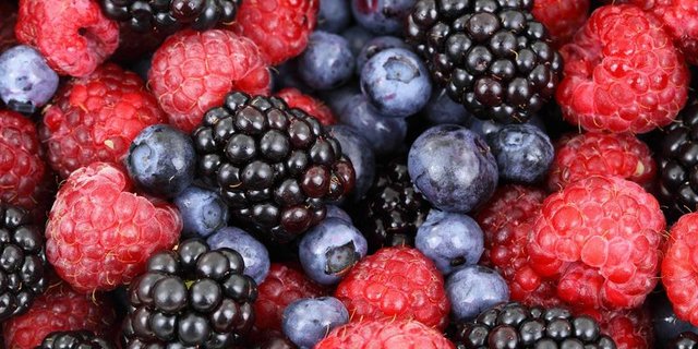 Schweizer Beeren präsentieren sich jetzt in satten Farben. (Bild lid)