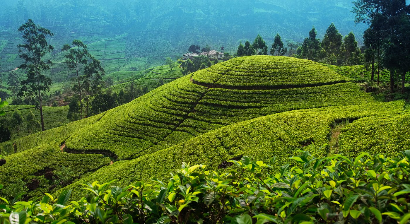 Sri Lanka: Eine Insel mit eindrücklichen Berglandschaften, wunderschönen Sandstränden, faszinierender Tierwelt und interessanten Kulturen.
