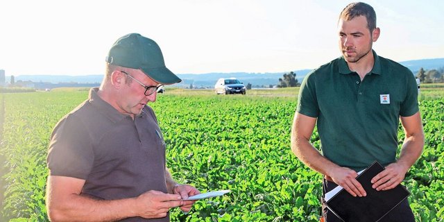 Gastgeber Harald Jöhr (l.) und Fabian Roth von der KWS Suisse SA führten durch die Zuckerrübenkulturen.	