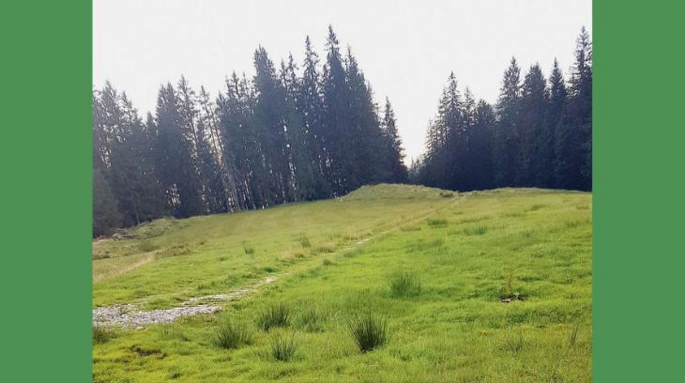 Wegabschnitt auf die Lauenberger-Alpen. Der Holzrost ist noch schwach ersichtlich.  (Bild hpr)