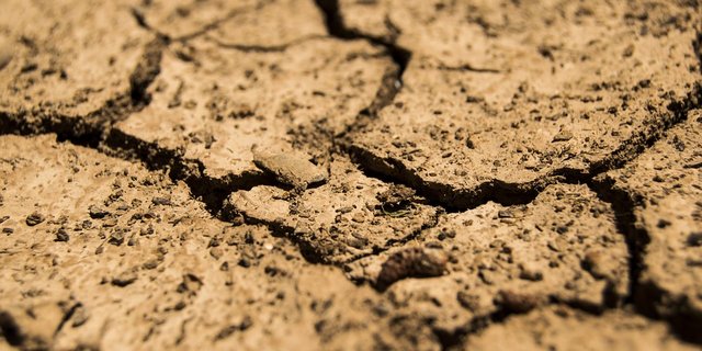 Italiens Landwirtschaft leidet unter der aktuellen Trockenheit. (Bild Pixabay)