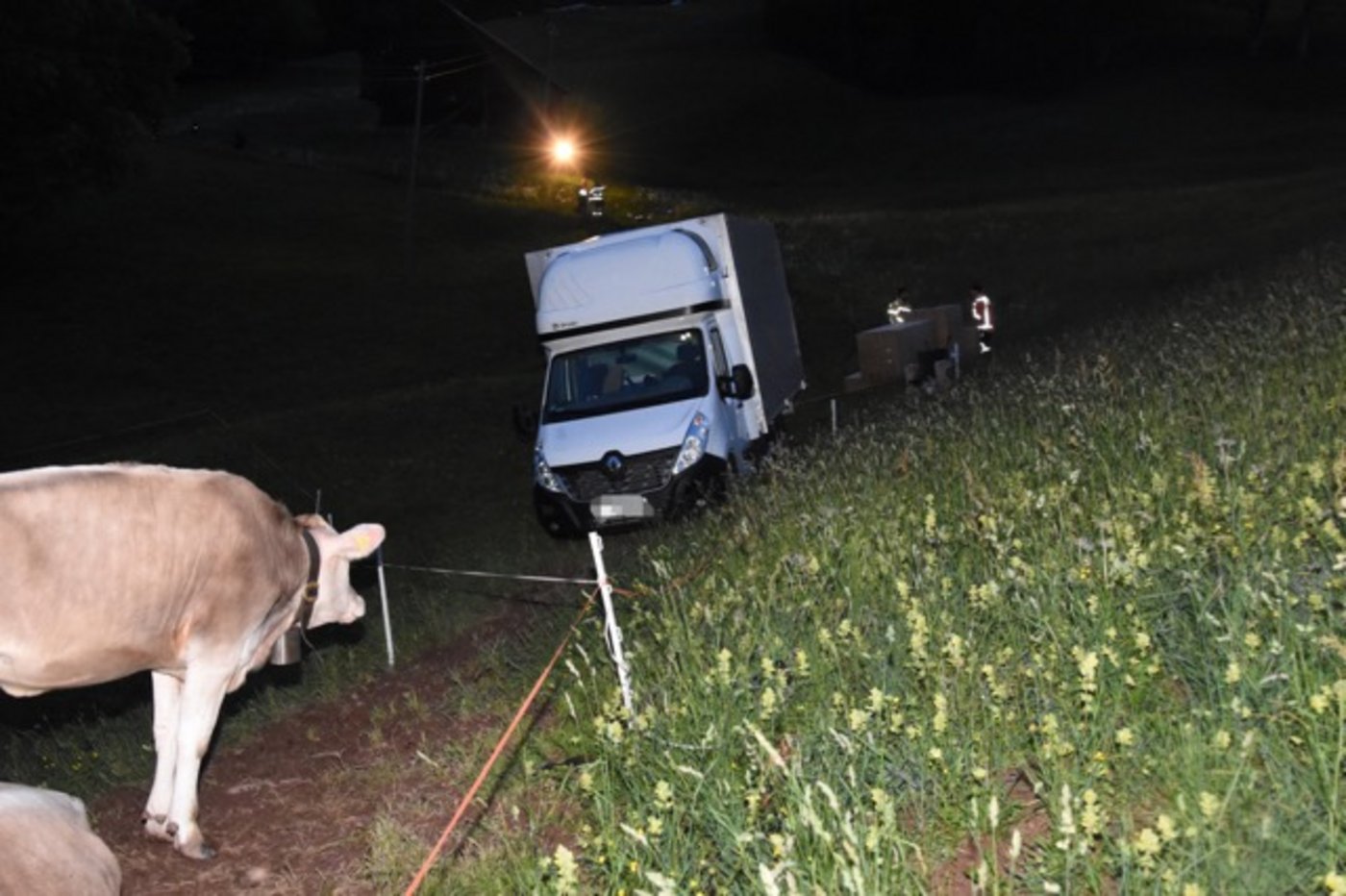 Der Lieferwagen blieb am Rande einer Kuhweide stecken. (Bilder Kapo SG)