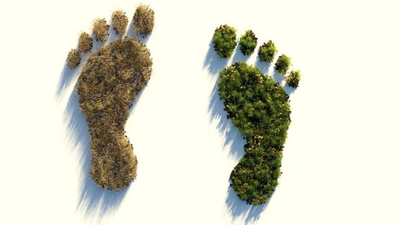 Blinder Klimaschutz kann die Ernährungssicherheit gefährden. Beide Anliegen zu vereinen ist aber möglich. (Bild Pixabay)
