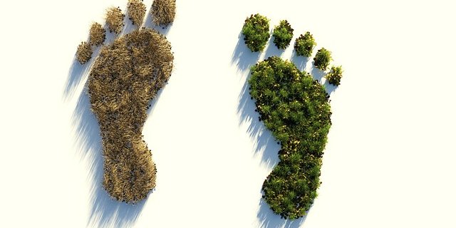 Blinder Klimaschutz kann die Ernährungssicherheit gefährden. Beide Anliegen zu vereinen ist aber möglich. (Bild Pixabay)