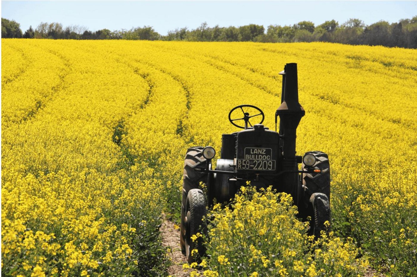 Der Verein für eine produzierende Landwirtschaft spricht sich deutlich gegen die AP 22+ aus. (Bild zVg) 