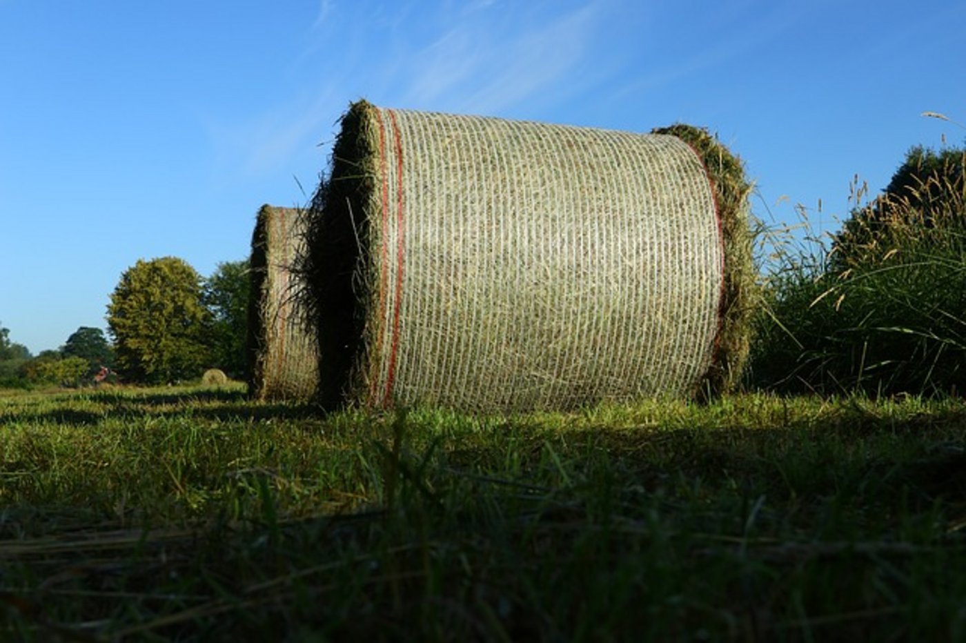 (Symbolbild pixabay)