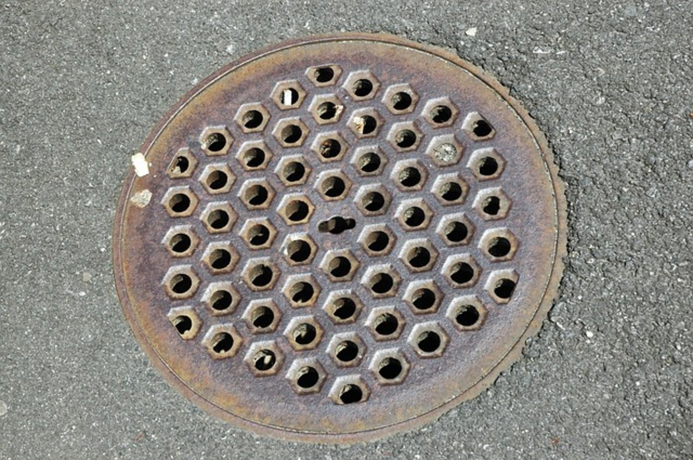 Eine bessere Abwasserreinigung kann laut BAG einen grossen Beitrag leisten, dass weniger Antibiotika in die Umwelt gelangt. (Bild Pixabay)