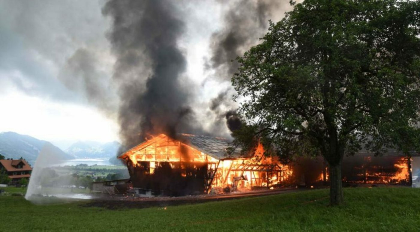 In Alpnach gerat am Dienstagmorgen ein Stall in Brand. (Bild Kapo Obwalden)