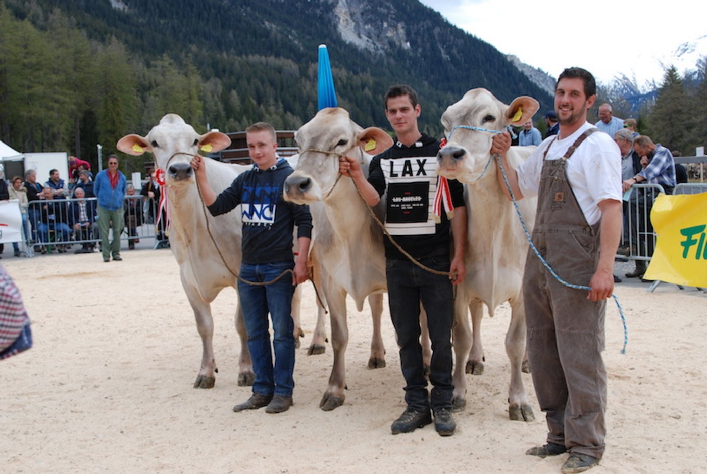 Gewinner des Betriebscups ist die Gruppe von Luzi und Mario Steier, Savognin.