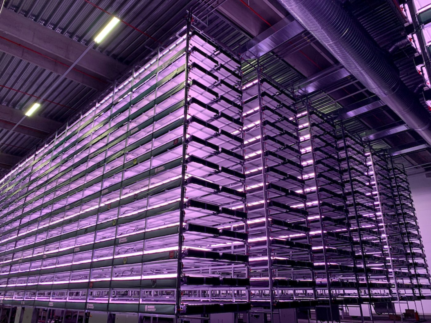 Die vertikale Farm von Nordic Harvest in Dänemark umfasst 14 Etagen und steht auf einem 7000 Quadratmeter grossen Grundstück ausserhalb der dänischen Hauptstadt. (Bild YesHealth Group/Jesper Palermo)