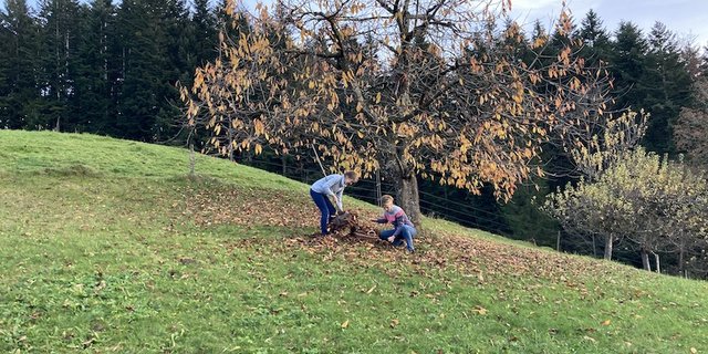 Manche Arbeit geht gemeinsam leichter von der Hand: Autorin Esther Gasser (r.) und ihre Schwiegermutter beim Laubzusammenrechen. (Bild zVg/Esther Gasser)
