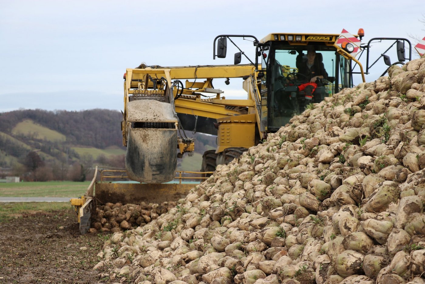 Die Biokampagne in Frauenfeld ist abgeschlossen. Es gibt weiterhin Verzögerungen in Aarberg. (Bild BauZ)