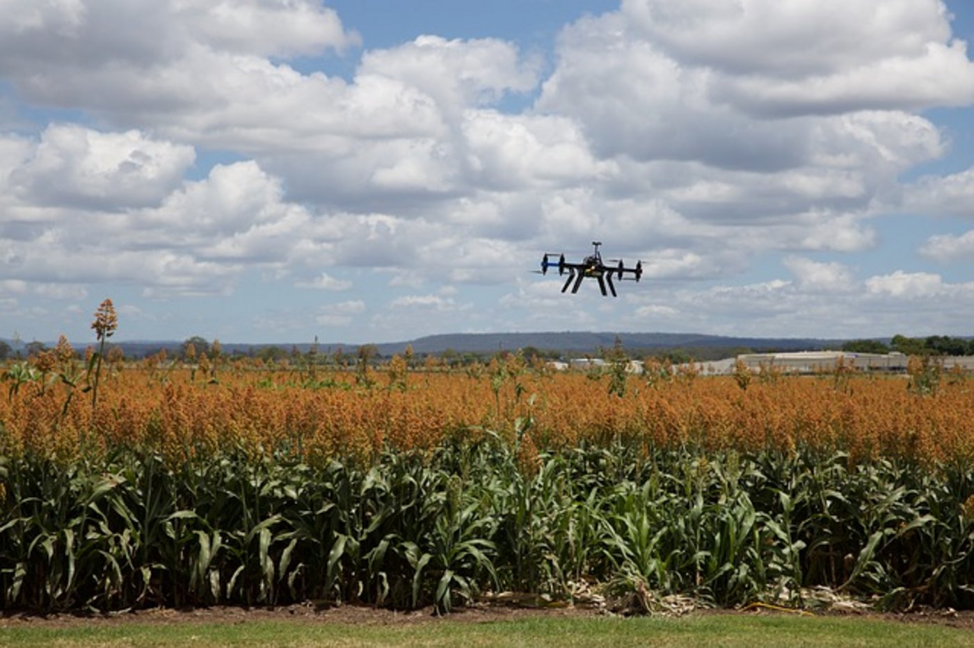 Die digitalisierte Landwirtschaft ermöglicht eine nachhaltigere und effizientere Bewirtschaftung. (Bild Pixabay)