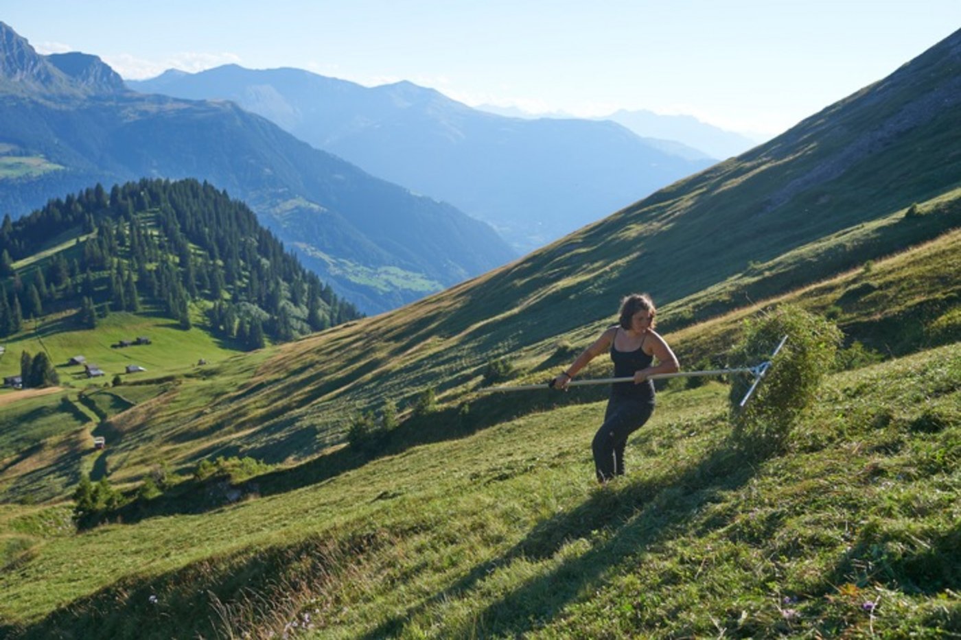 Die Arbeit von Bergbauern im steilen Gelände ist beschwerlich und zeitintensiv - jede Hilfe ist willkommen. (Bild obs/Caritas Schweiz / Caritas Suisse/Franca Pedrazzetti)