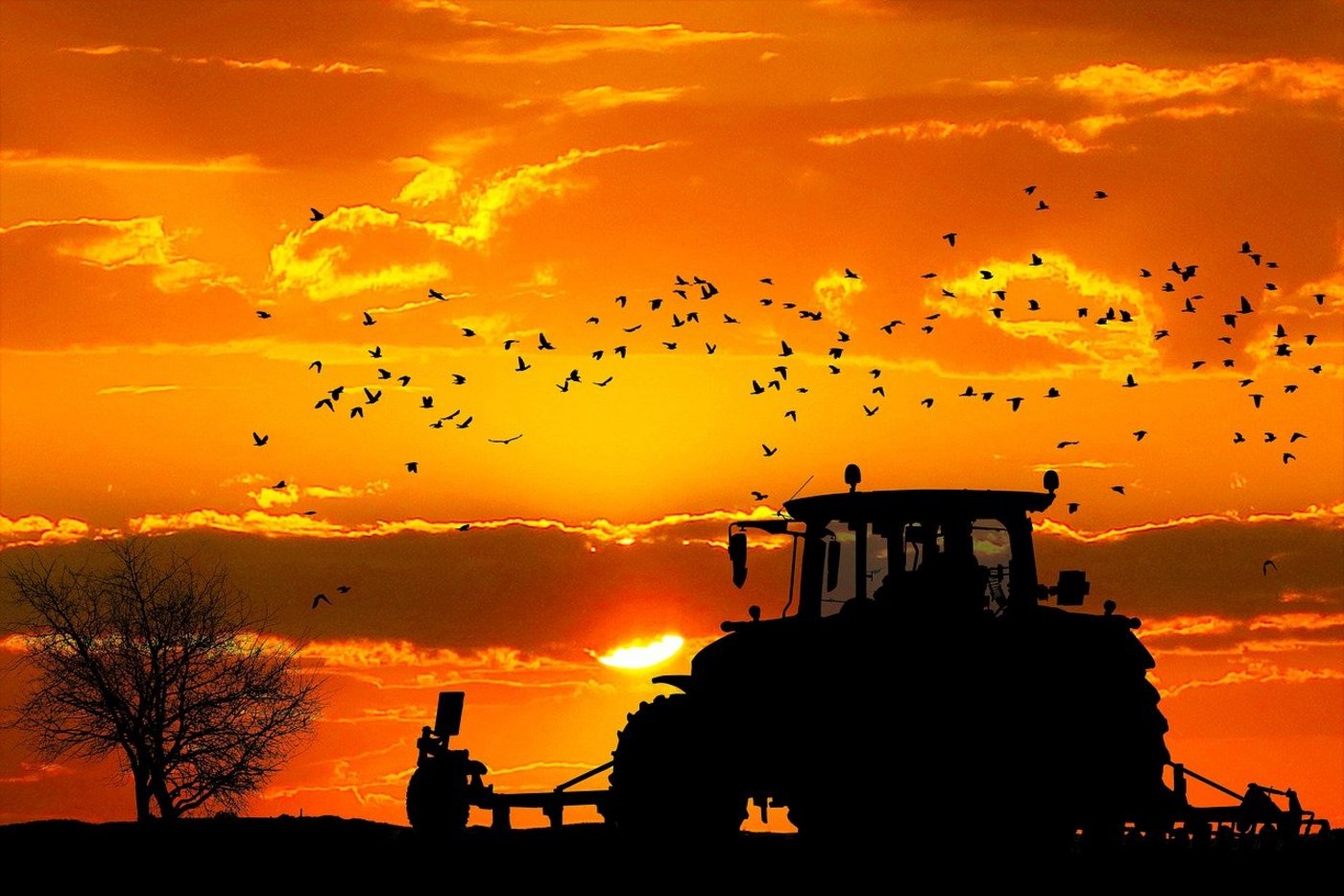 Für die breite Bevölkerung gibt es schon länger ein Sorgenbarometer. Wir möchten eines für Menschen in der Landwirtschaft erstellen. (Bild dendoktoor/Pixabay) 