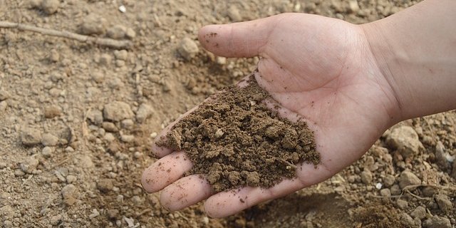 Die Gesundheit von Böden weltweit zu schützen und zu fördern sei eine der mächtigsten Waffen im Kampf gegen Klimawandel, so die Forschenden. (Bild Pixabay) 