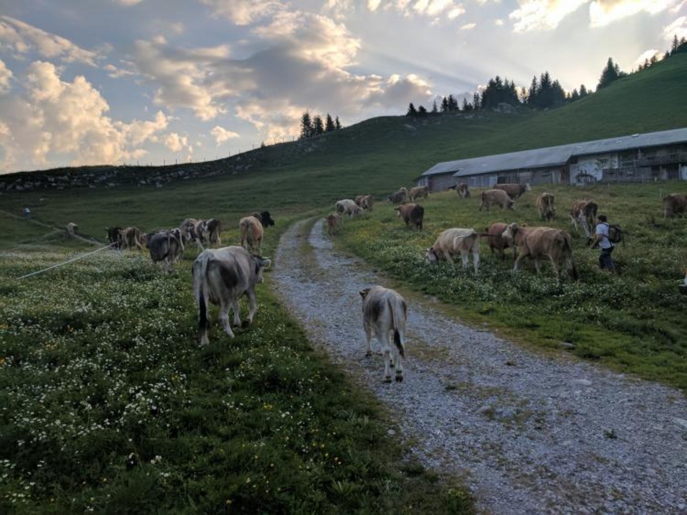 Es geht früh los. (Bild zVg)