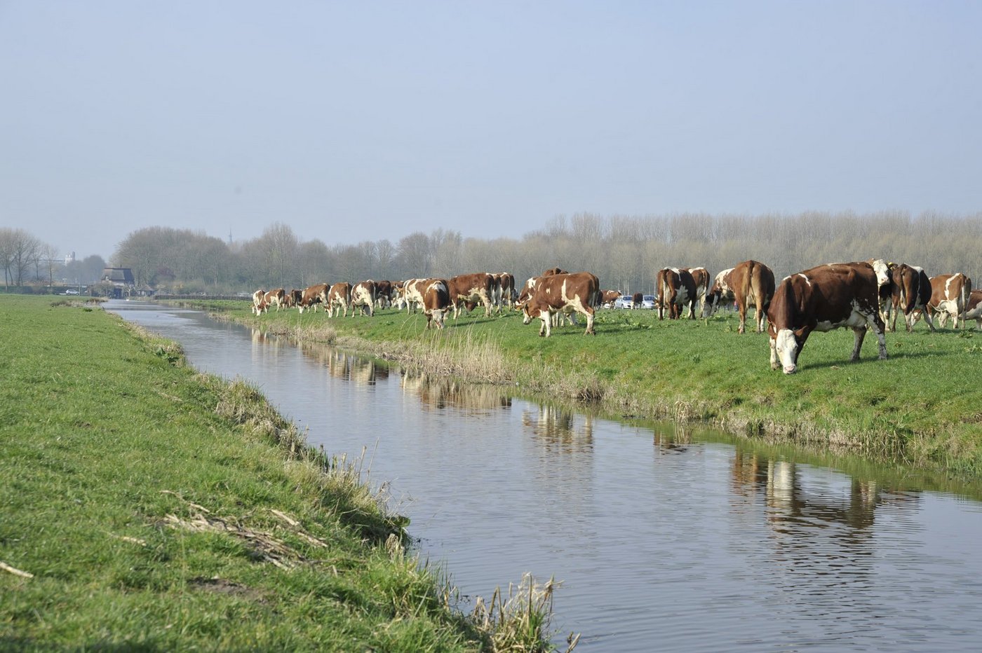 Die EU (hier ein Bild aus Holland) will zusätzlich zum Käse weitere Bereiche öffnen für Freihandel mit der Schweiz. (Bild lid)