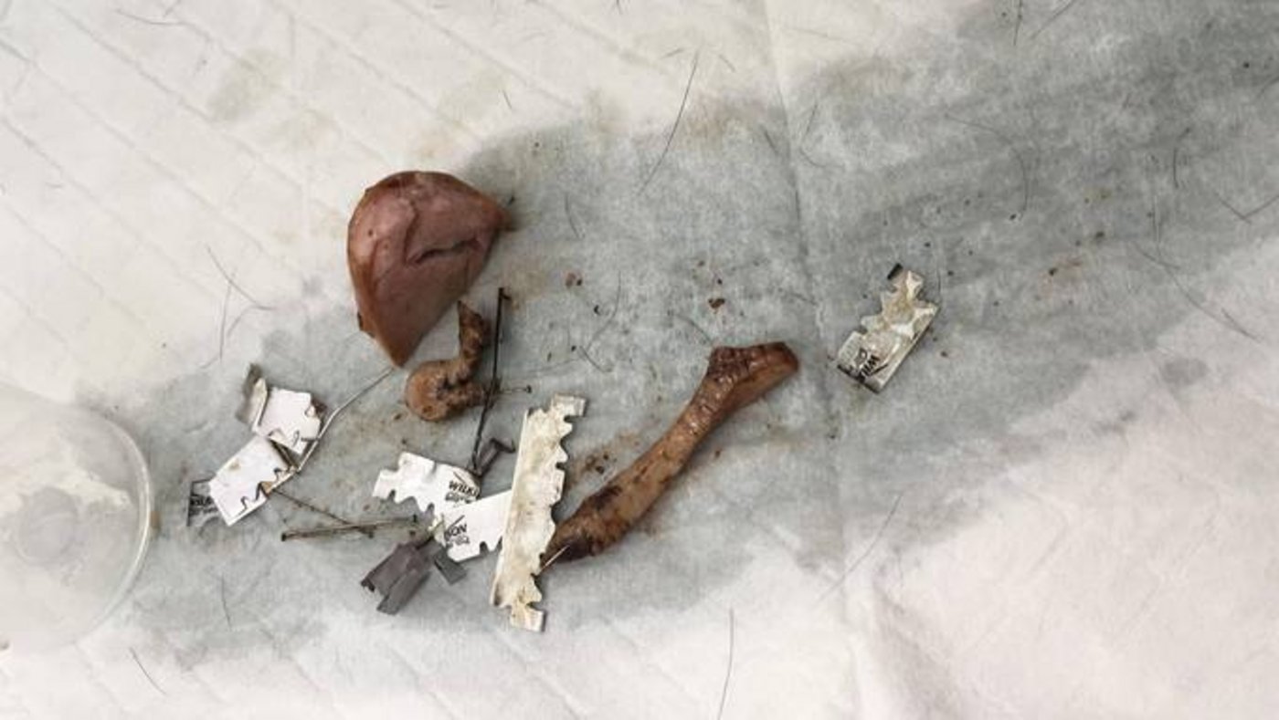 Tierärzte holten Rasierklingen und Stecknadeln aus den Mägen der Hunde. Trotzdem waren die drei Tiere nicht zu retten. (Bild Facebook/Tierklinik Sonnenhof)