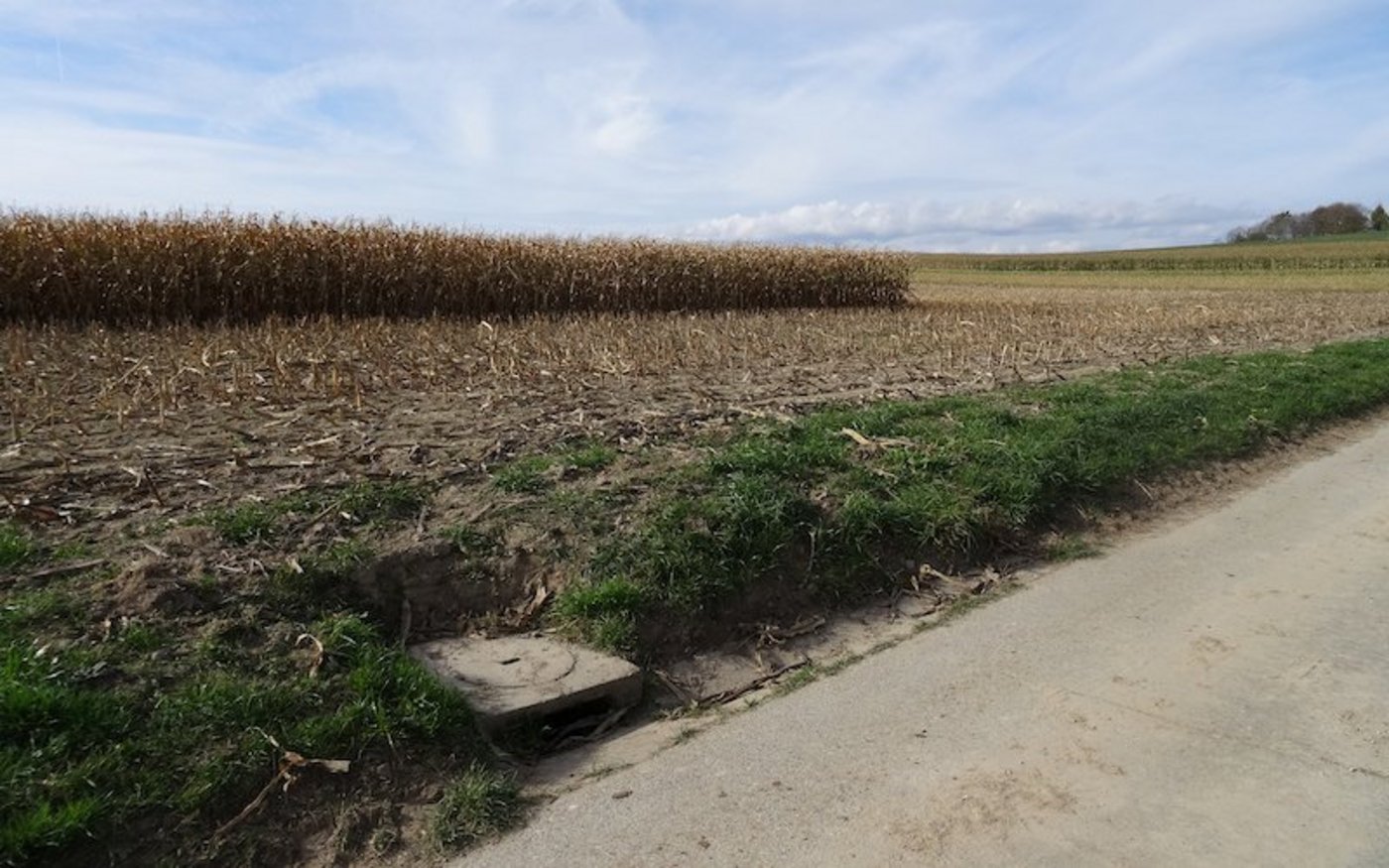 Über solche Einlaufschächte gelangt Wasser vom Feld und vom Flurweg direkt ins nächste Gewässer – ein hydraulischer Kurzschluss. (Bild Eawag, Urs Schönenberger)