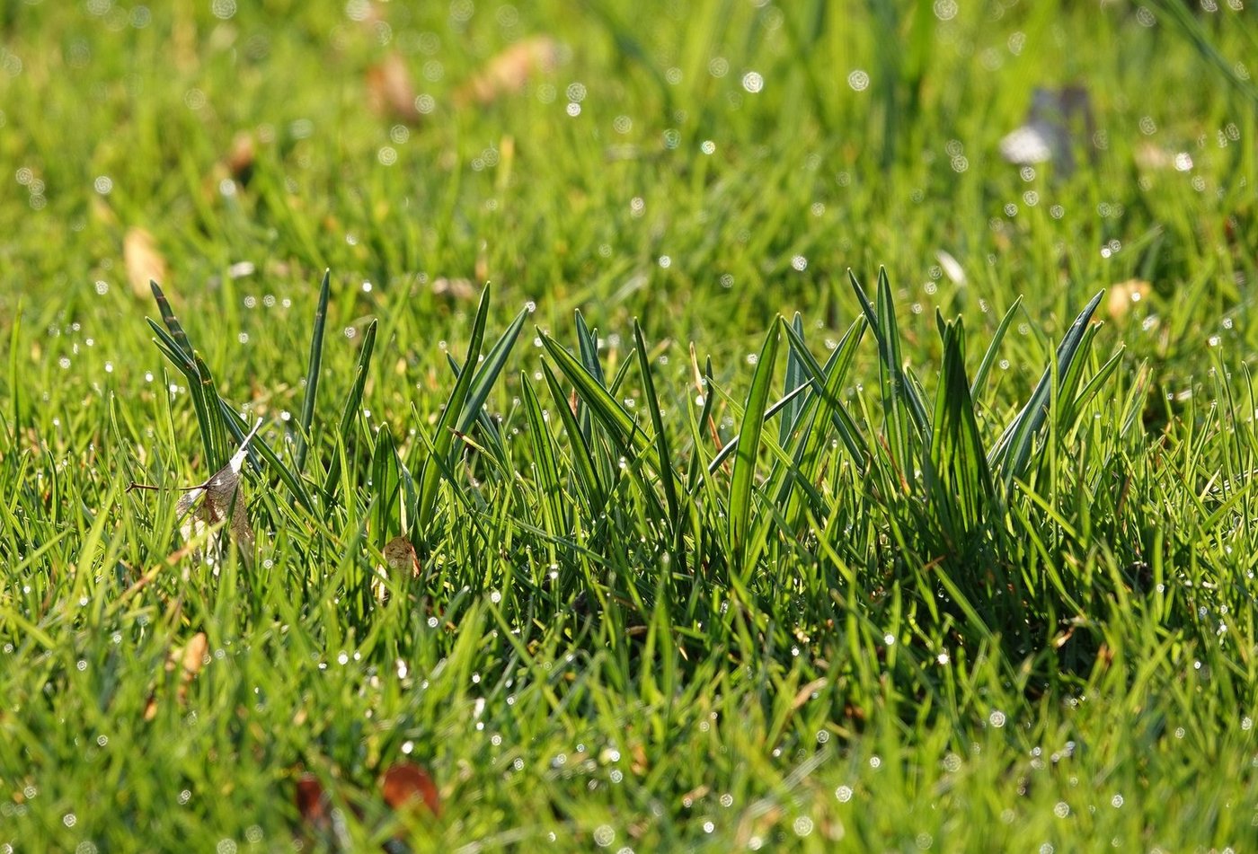 Ein nachhaltiges Landmanagement steht im Weltklimabericht an zentraler Stelle. (Bild Pixabay)