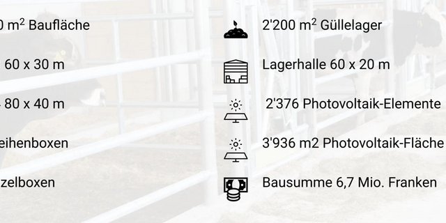 Hinzu kommen 16 Einzelboxen im weiterhin betriebenen Stall 2. (Bild zVg)