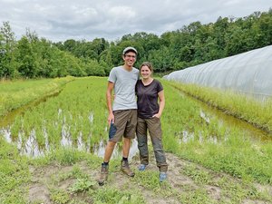 Bio-Reis aus dem Aargau: «Wir haben viele Reistouristen» Lukas und Natalie Neuhaus vor ihrem Reisfeld. Sie feiern dieses Jahr ihre Nassreis-Premiere. Ein erster Versuch mit Trockenreis funktionierte nicht. (Bilder jw)