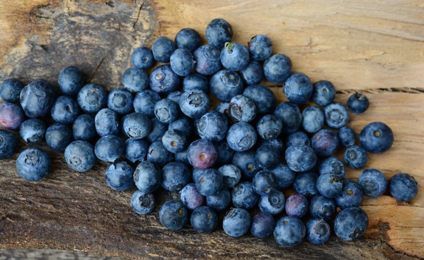 Die Nachfrage und der Anbau von Heidelbeeren ist in den letzten Jahren konstant gestiegen. (Bild pd)