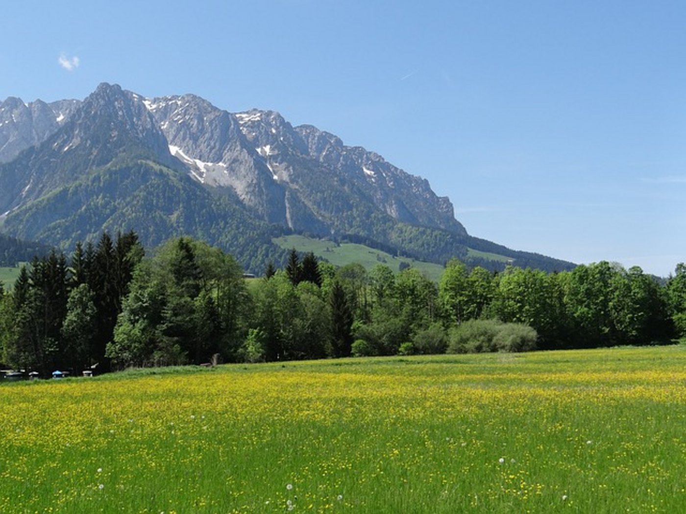 Die Verurteilung des Bauern nach der tödlichen Attacke seiner Mutterkuh-Herde hat eine grosse Diskussion zum Thema Wanderer und (Mutter)Kühe ausgelöst. (Symbolbild Pixabay)