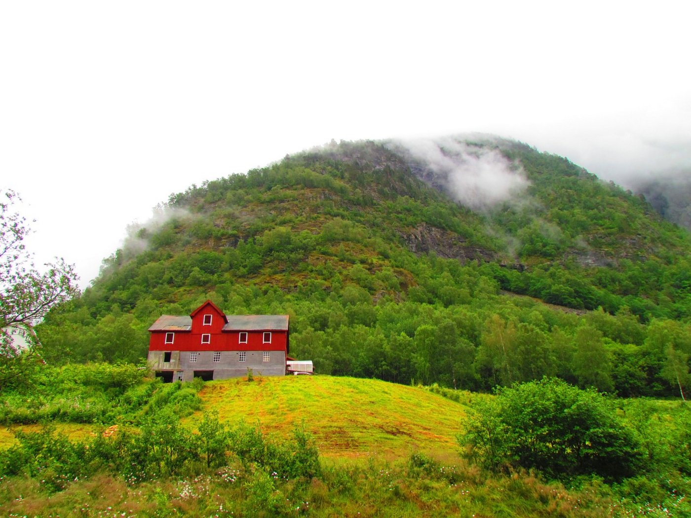 Die Scheunen in Norwegen bleiben heuer leerer als auch schon. (Symbolbild Pixabay)