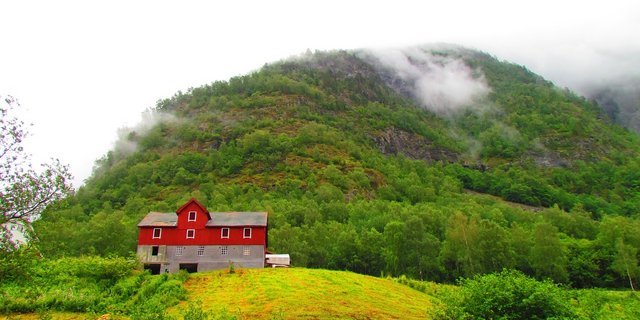 Die Scheunen in Norwegen bleiben heuer leerer als auch schon. (Symbolbild Pixabay)