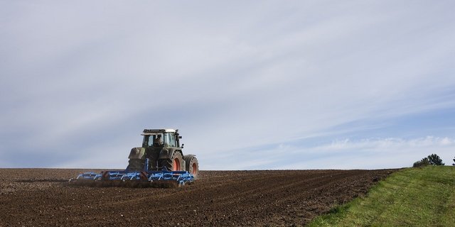 Laut dem Bundesrat sei der Aufbau einer neuen Institution nicht sinnvoll, da Agroscope für diese Themen verantwortlich sei. (Bild Pixabay)