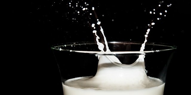Die Einkommen in der Landwirtschaft seien nur zum Teil gestiegen, so Big M. Etwa gehörten die Milchproduzenten zu der am schlechtesten verdienenden Sparte. (Symbolbild Pixabay)
