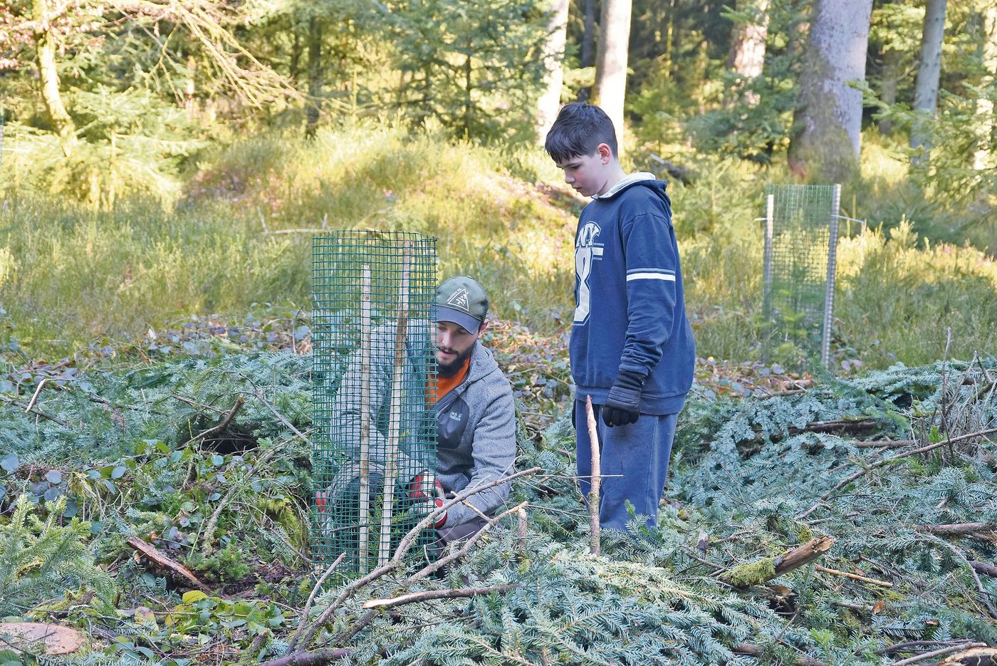 Auch ein Schutzkorb gegen das Wild darf nicht fehlen. 