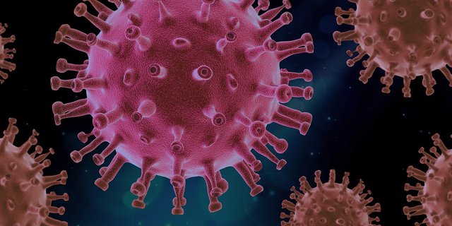 Das Corona-Virus wütet in einer deutschen Fleischfabrik. (Symbolbild Pixabay)