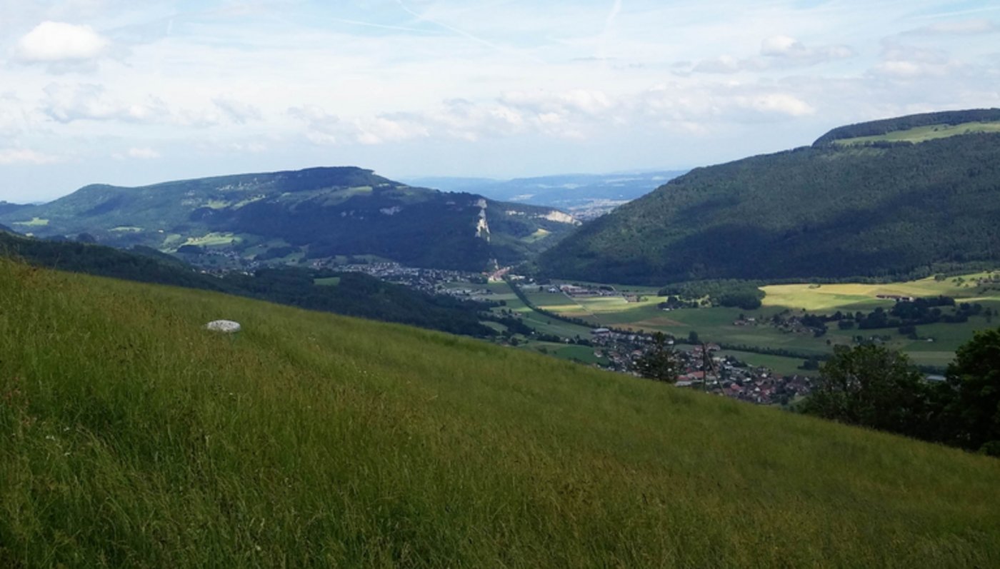 (Bild lid)